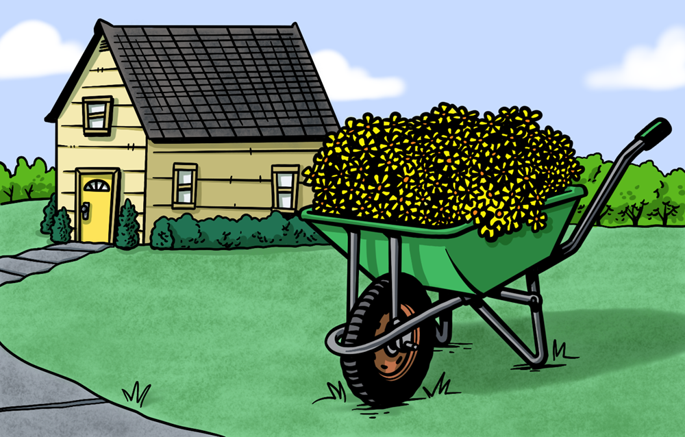 Home & Garden